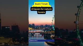 Bukit Timah Reserve: Nature Enthusiasts #traveltips #singaporetourism #travel #singaporetravelguide