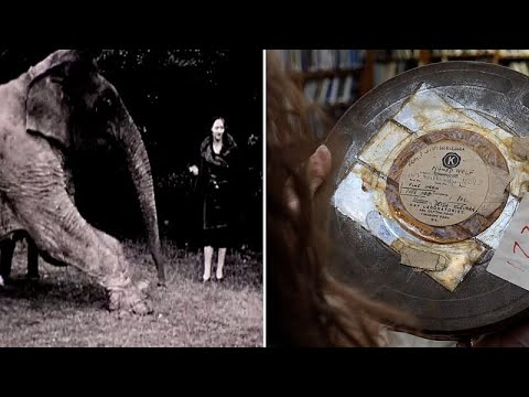 ZSL discovers forgotten wildlife film reels dating back 80 years: Can you help save them?