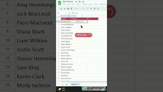 A Pro-Level Short on Text Splitting ! | Use This For Splitting | Split Text in Google Sheet