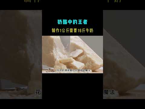 奶酪中的王者 #世界