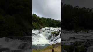 ILU ILU | #iluilu #Saudagar #kavitakrishnamurti #waterfall  #ooty #tamilnadu