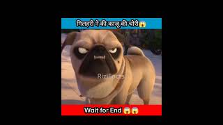 #गिलहरी ने की kaju की चोरी 😱?#animatedstories #cartoons@CrazyXYZ  @wiziexplain#shortfeed