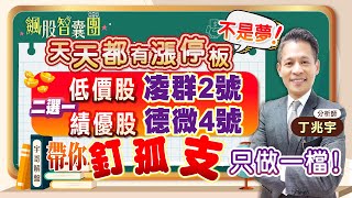 【飆股智囊團】丁兆宇分析師2023.03.24 保勝光、環天科!天天都有漲停板不是夢!