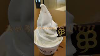 よつ葉🍀ホワイトコージでソフトクリーム🍦　KITTE大阪 #kitte大阪 #よつ葉ホワイトコージ #ソフトクリーム