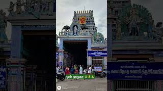 ஓம் முருகா 🙏🙏🙏#ommuruganthunai #ஓம்முருகாபோற்றி #devotional #முருகன்துணை #motivation #முருகாசரணம்