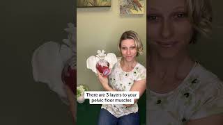 What does the pelvic floor do? #pelvicfloorhealth #kegels #pelvicfloor