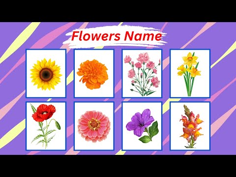 🌸 Learn 23 Flower Names with Fun Song for Kids! 🌼 Educational Video