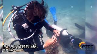 PIDC-2020淨海活動