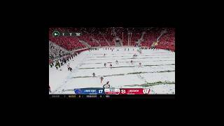 Wild touchdown in the snow! | CFB 26 #cfb26 #roadtoglory #shorts #easportscollegefootball
