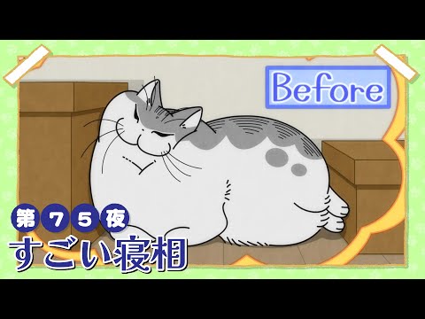 アニメ『夜は猫といっしょ』第75夜「すごい寝相」