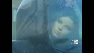 Purr - "STM"