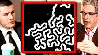 Cellular automata is a fake complexity generator | Lee Cronin and Lex Fridman