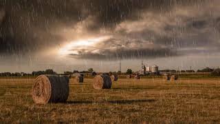 RAIN at FARM - Relaxing Nature Sounds - to sleep all night