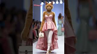 #catsmodel #catclothing #catstyle #cat #fashion # #viralvideoshorts