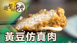大突破 黃豆蛋白仿真肉 色香味俱全 植物肉顛覆傳統 第474集《進擊的台灣》part5｜陳怡廷