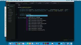 038 Adding Normalize css to our theme