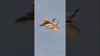 Catch @TheRSAF's fighters showing their mettle at #NDP2025. #aerialdisplay #f15 #f16