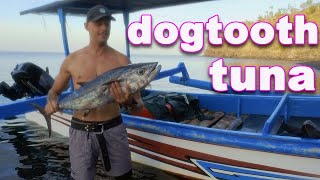 this powerful fish ALMOST escaped