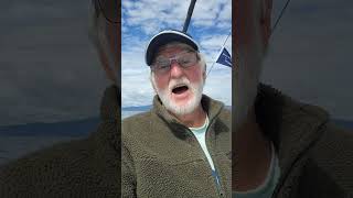 Great day in the Tasman Sea @MotorSailingforOldDudes