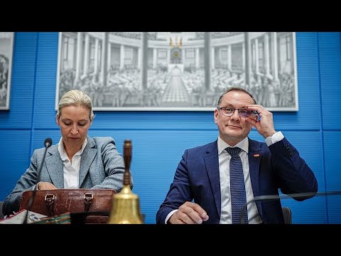 Germany designates AfD as right-wing extremist organisation, citing threat to democracy