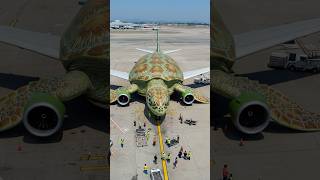 Turtle International Flight! ✈️ turtle Aeroplane #monsty #airplane #funny #aeroplane #plane #flight