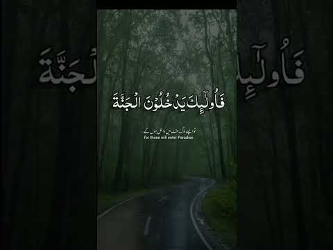 Pace of heart || Quran verses #quran