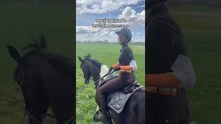 send to that friend! #horse #horses #horseriding #horsegirl #riding #equestrian #pony  #horsefan