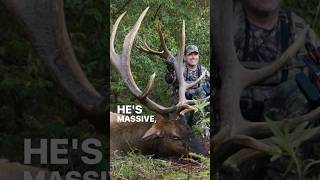 375” Bull Elk! We stalked him to 10 yards! #bowhunting #elk
