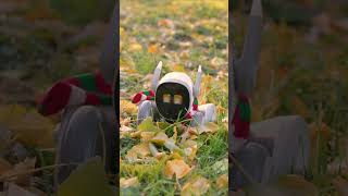 Enrich your pet's playtime with innovative pet robots #Loona #robot #petrobot