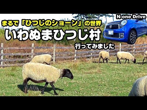 N-oneドライブ 動物好き注目の癒しスポット「いわぬまひつじ村」行ってみました