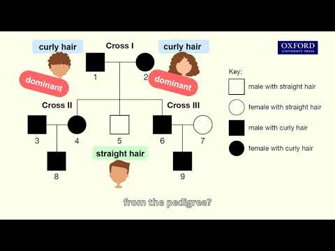 Online tutorial 25.1 Interpreting a pedigree showing the inheritance of an autosomal characteristic