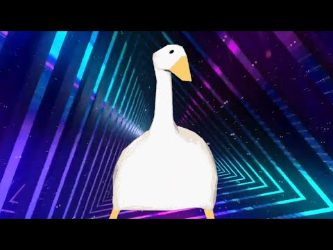 quack.mp4