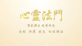 【精彩音频】 如何避免说错话， 结下冤结？心灵法门