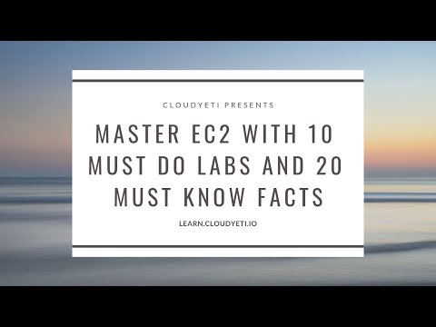 Amazon EC2 Lab: Install Cloudwatch agent , collect Custom Memory Metric | EC2 Course