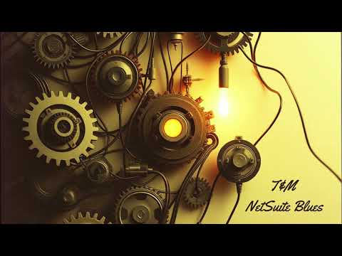 T&M NetSuite Blues - The Implementors