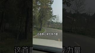 歡喜就好 火星閩南語歌 台語歌曲 陳雷 大陸小朋友翻唱 這首歌給我力量 搞笑🤣