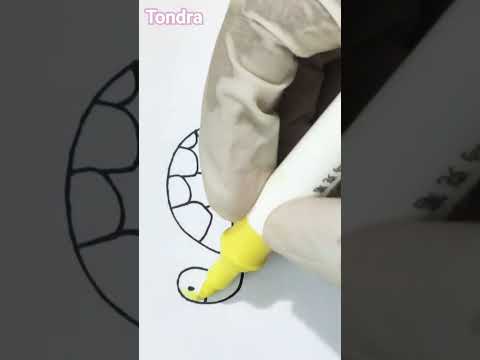 "Can you draw a turtle this fast? 😉