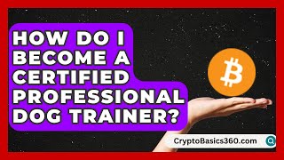 How Do I Become a Certified Professional Dog Trainer? | Animal Care Jobs