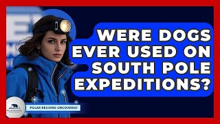 Were Dogs Ever Used On South Pole Expeditions? - Polar Regions Uncovered