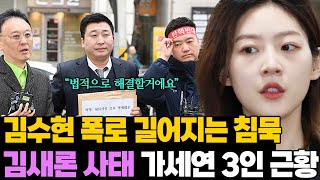 화해 하자고 합니다.. 소녀가장 故 김새론 비극 '김수현 탓이라던 3인방 근황'