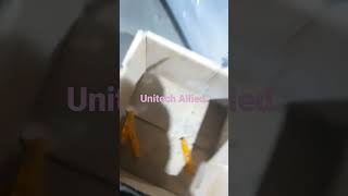 Ultrasonic Rotary plastic welding machine #ultrasonicplasticweldingmachine #plasticweldi #ultrasonic