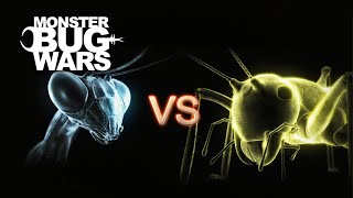 Youth Versus Experience! | Monster Bug Wars