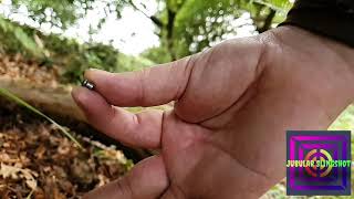 Slingshot Longshot a .177 airgun pellet.