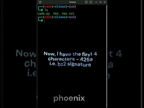 Decoding Hex Dump File To Plain Text #hex_dump #decoded #shorts #compressed_file