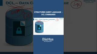 DCL Commands