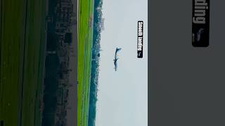 Indigo smooth landing 🛬🛩️ #aviation #planespotter #planespotting #shorts #viralvideo