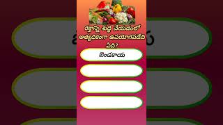 జనరల్ నాలెడ్జ్ #shorts #gk #general knowledge #trending #subscribe #ibstudies