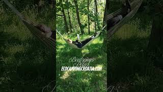 Eco camping on permaculture farm Bogata Šuma, where we scythe the grass