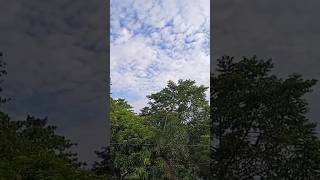 WOW!!! A COTTON LIKE CLOUDS/AMAZING FORMATION of  CLOUDS #Shorts