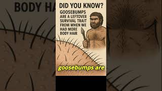 Did You Know Goosebumps Are a Leftover Survival Trait? #facts #humanbody #trending #viralshort #fyp